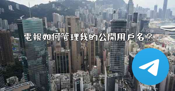 電報如何管理我的公開用戶名？