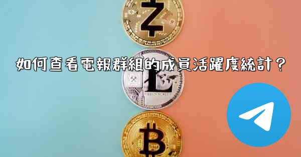 如何查看電報群組的成員活躍度統計？