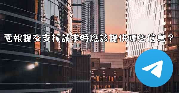 電報提交支援請求時應該提供哪些信息？