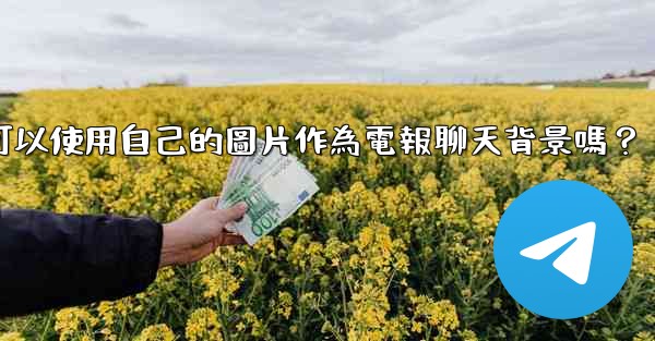 我可以使用自己的圖片作為電報聊天背景嗎？