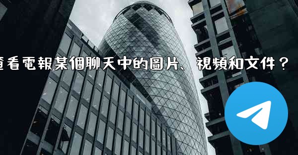 如何只查看電報某個聊天中的圖片、視頻和文件？