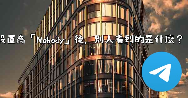 Telegram設置為「Nobody」後，別人看到的是什麼？