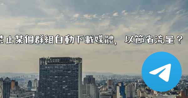 Telegram如何禁止某個群組自動下載媒體，以節省流量？
