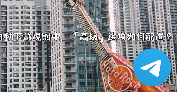 Telegram媒體自動下載規則中，「高級」選項如何配置？