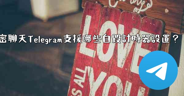 秘密聊天Telegram支援哪些自毀計時器設置？