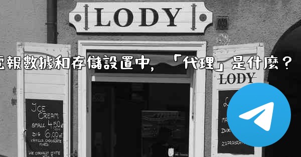 電報數據和存儲設置中，「代理」是什麼？
