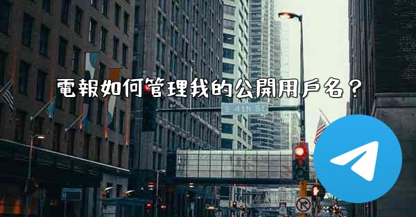 電報如何管理我的公開用戶名？