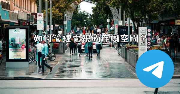 如何管理電報的存儲空間？