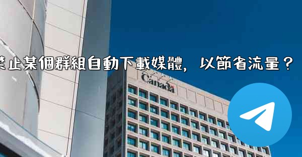電報如何禁止某個群組自動下載媒體，以節省流量？