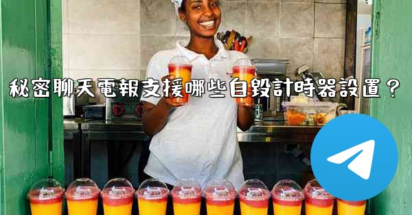 秘密聊天電報支援哪些自毀計時器設置？